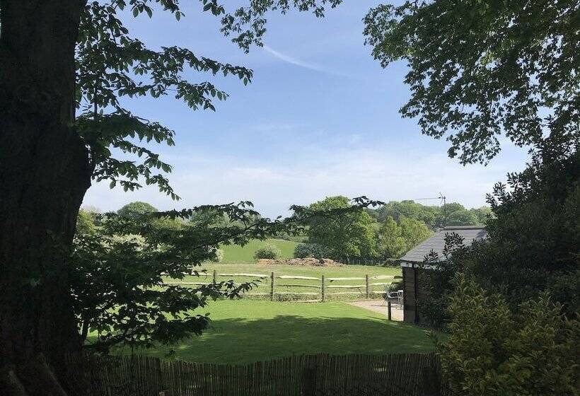 Holmdale Holiday Cottages