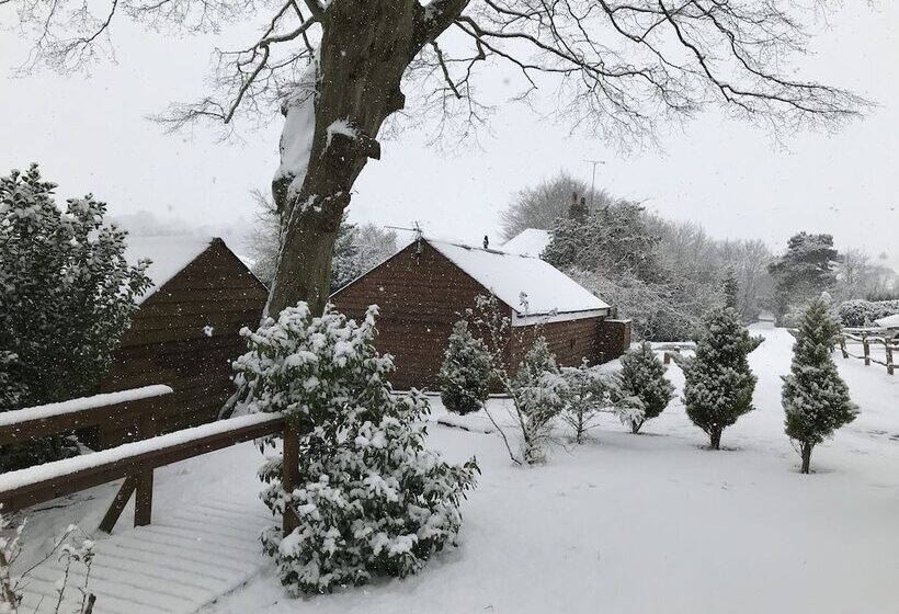 Holmdale Holiday Cottages