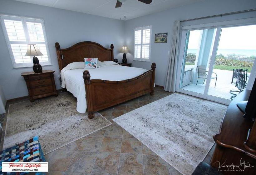 Tortugas De Mar 103b