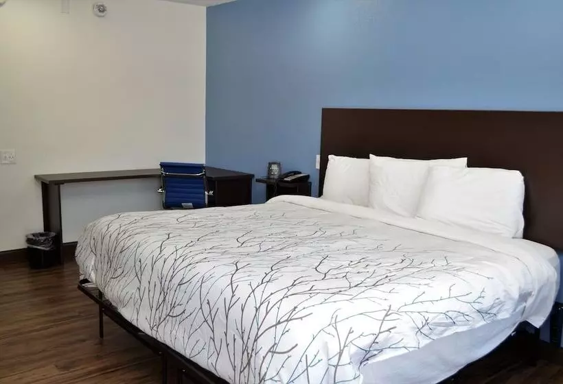 Отель Athena Inn Chattanooga