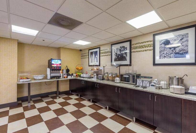 فندق Brandon Center