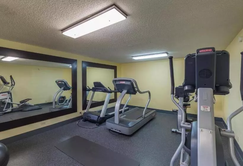 Отель Brandon Center