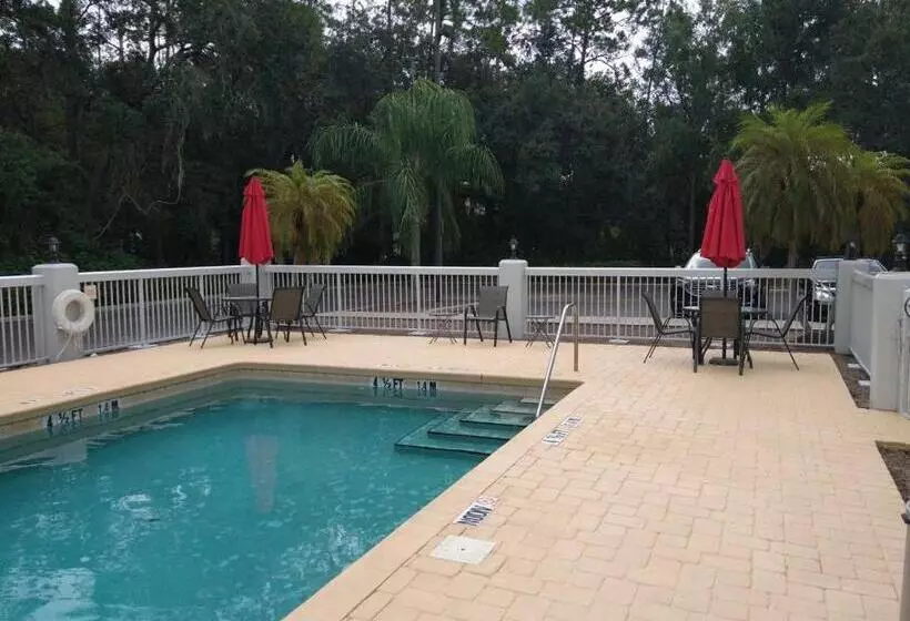 Отель Brandon Center