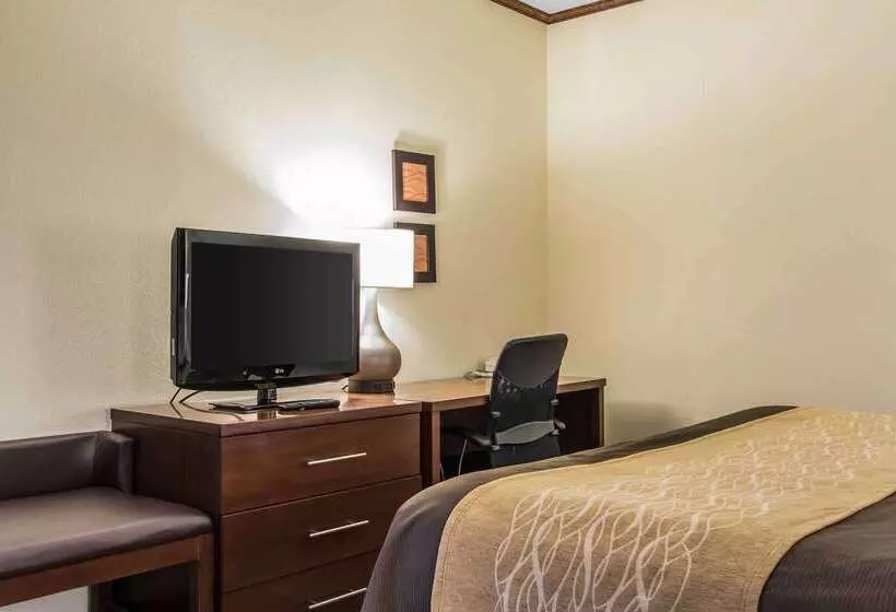 Отель Comfort Inn & Suites Ardmore