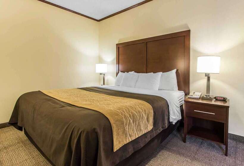 Otel Comfort Inn & Suites Ardmore