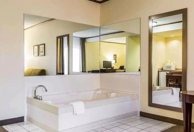 Отель Comfort Inn & Suites Ardmore