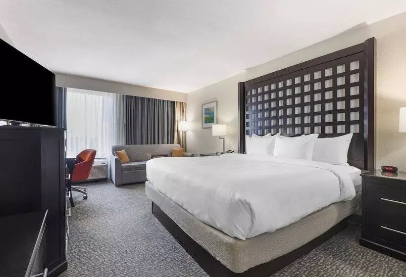 酒店 Comfort Inn Plano Dallas