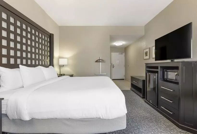 酒店 Comfort Inn Plano Dallas