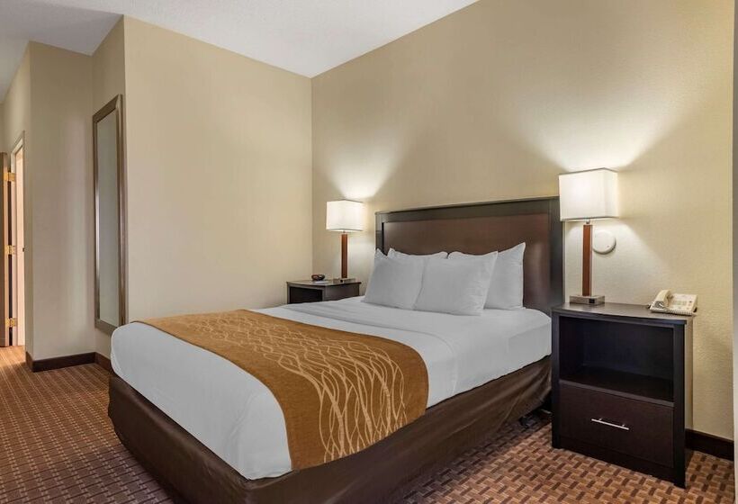 בית מלון כפרי Comfort Inn & Suites Warsaw Near Us30