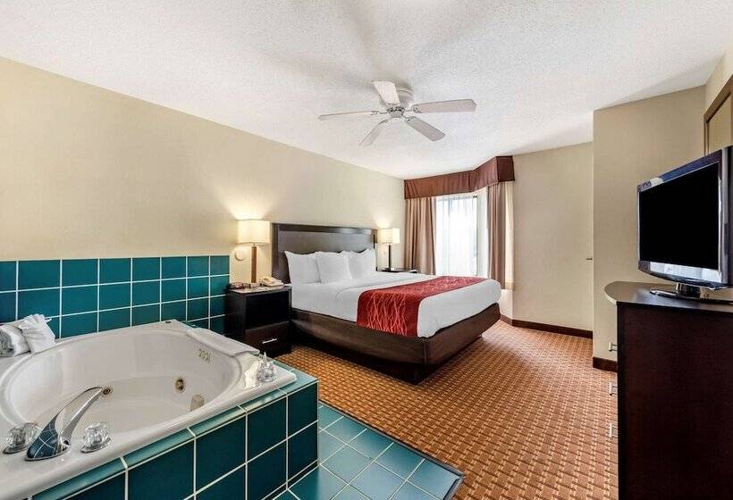 בית מלון כפרי Comfort Inn & Suites Warsaw Near Us30