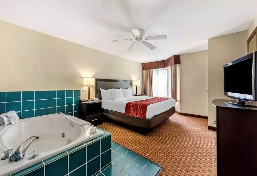 Hotel Comfort Inn & Suites Warsaw Near Us30