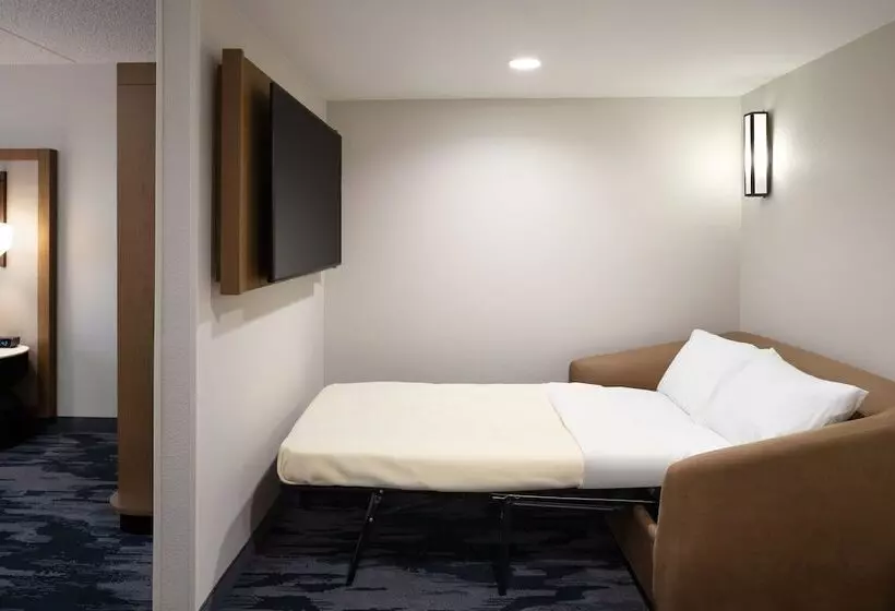 Отель Fairfield Inn & Suites By Marriott Denver Southwest/lakewood