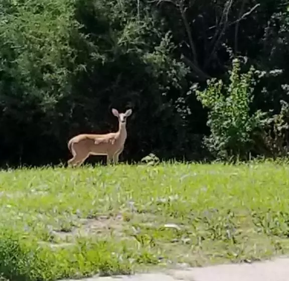 Отель Great Western Inn