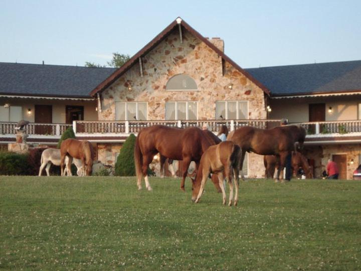 Отель Guggisberg Swiss Inn
