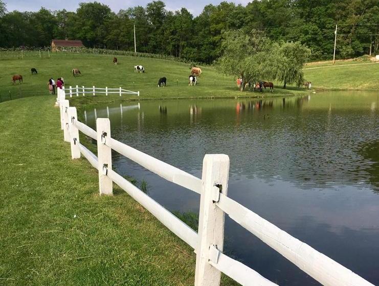 Отель Guggisberg Swiss Inn