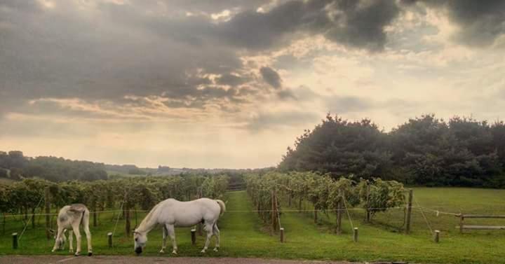 Отель Guggisberg Swiss Inn