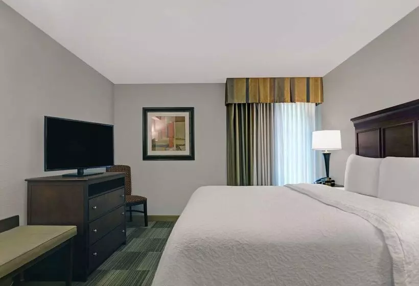 Отель Hampton Inn & Suites Pigeon Forge On The Parkway
