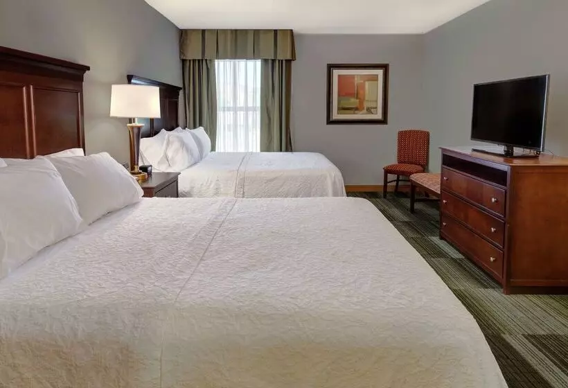 Отель Hampton Inn & Suites Pigeon Forge On The Parkway