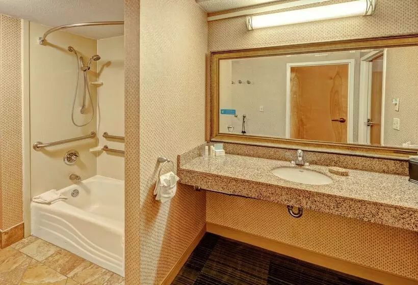 Отель Hampton Inn & Suites Pigeon Forge On The Parkway