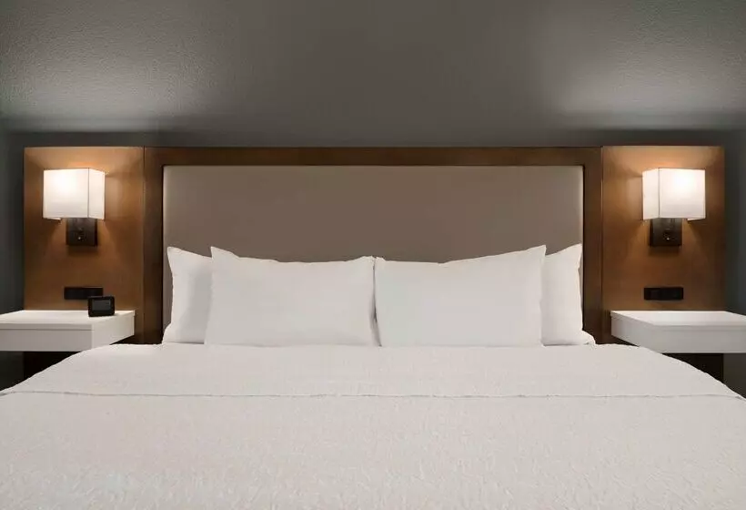 هتل Hampton Inn Appletonfox River Mall Area