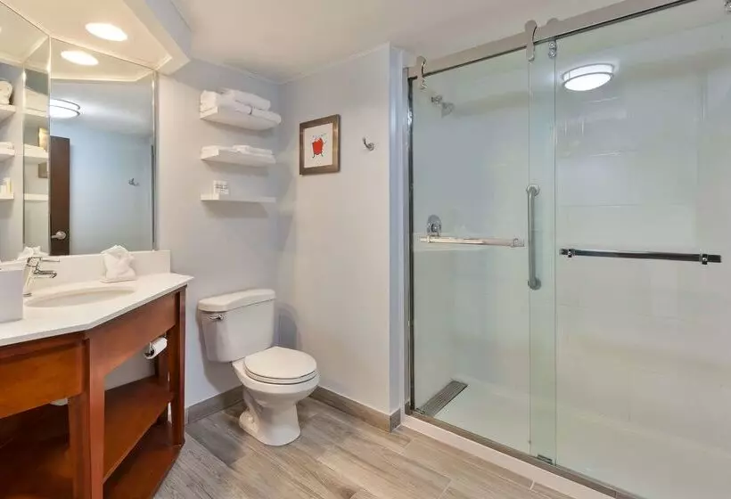 호텔 Hampton Inn Columbus/delaware I71 North