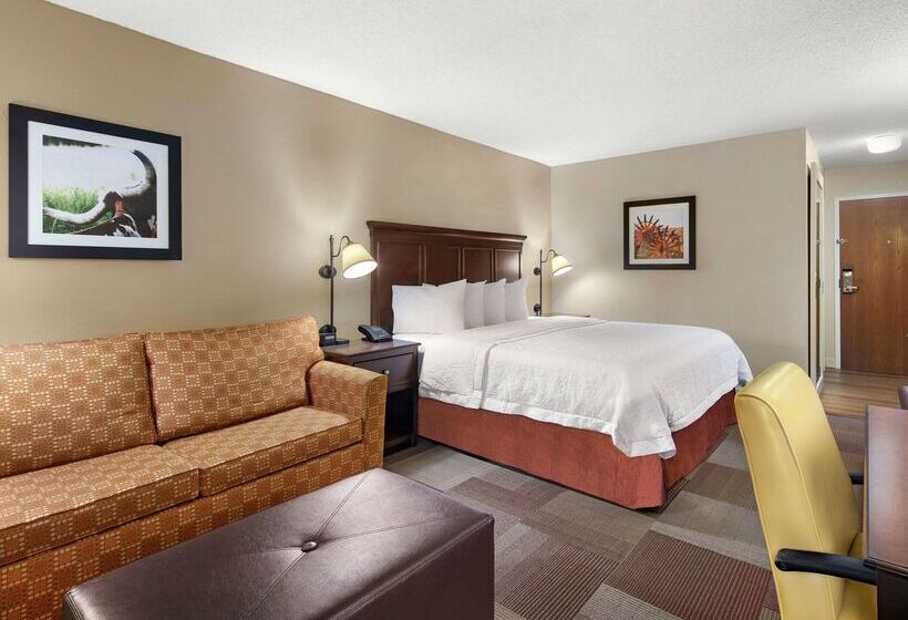 Hotel Hampton Inn Dallasirvinglas Colinas