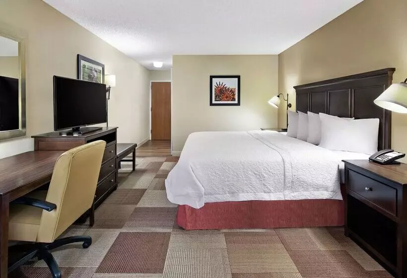 هتل Hampton Inn Dallasirvinglas Colinas