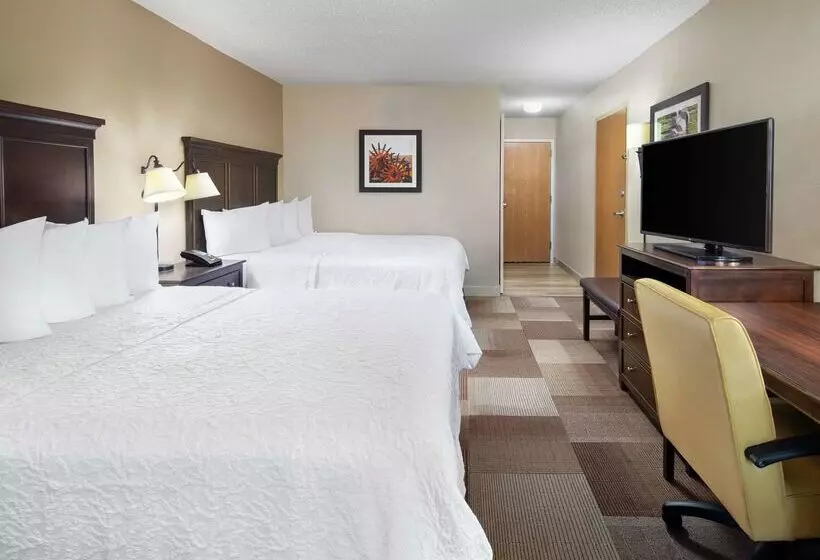 هتل Hampton Inn Dallasirvinglas Colinas