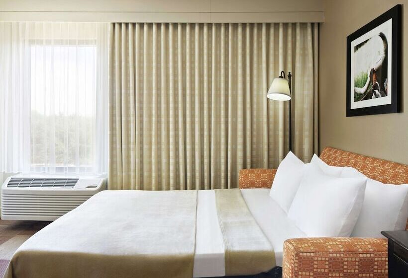 Hotel Hampton Inn Dallasirvinglas Colinas