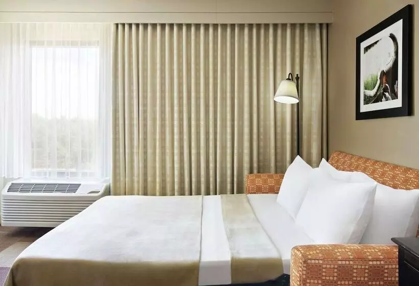 هتل Hampton Inn Dallasirvinglas Colinas