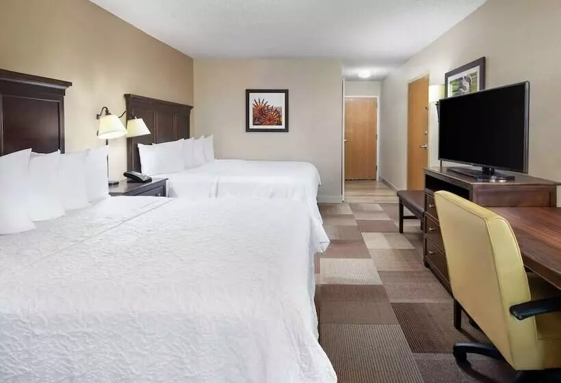 هتل Hampton Inn Dallasirvinglas Colinas