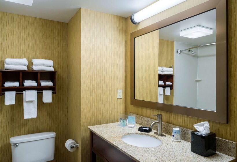 Отель Hampton Inn Danville