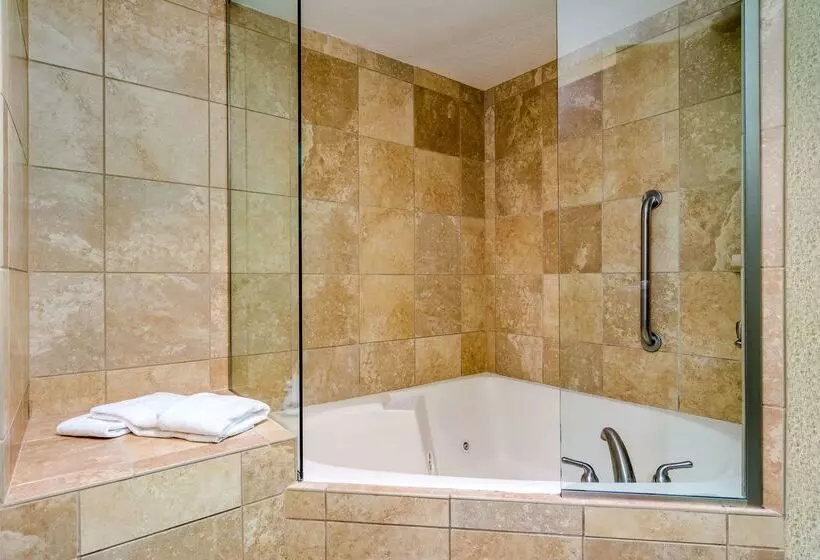 هتل Hampton Inn Johnson City