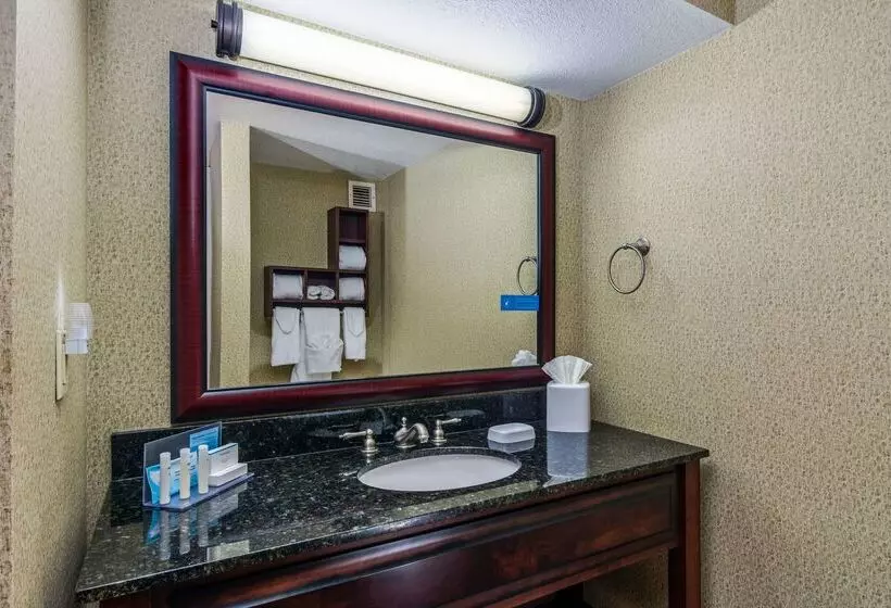 هتل Hampton Inn Johnson City