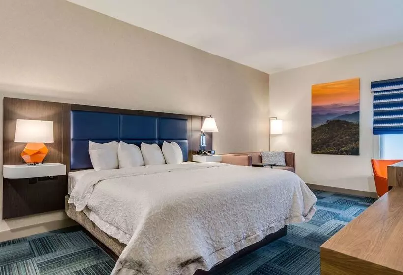 هتل Hampton Inn Johnson City