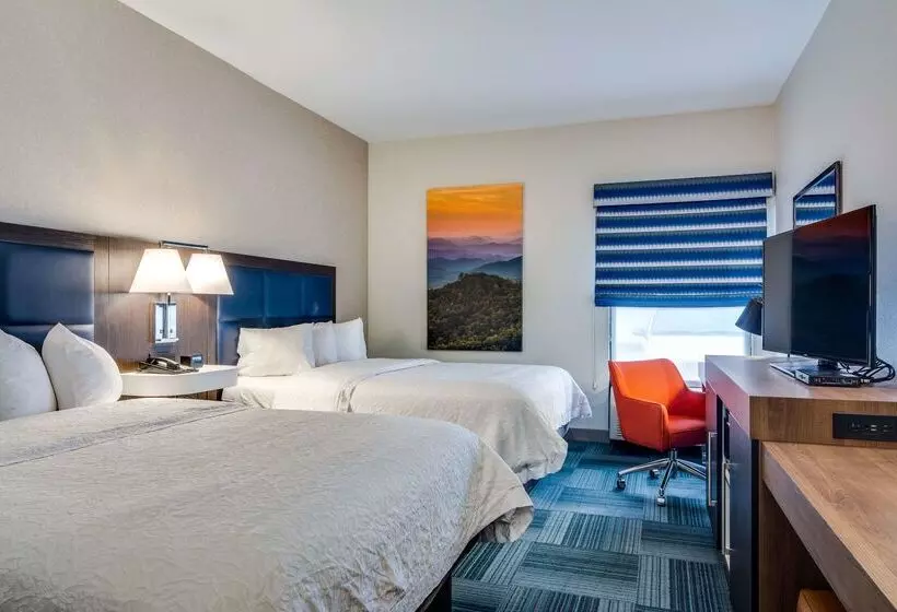 هتل Hampton Inn Johnson City