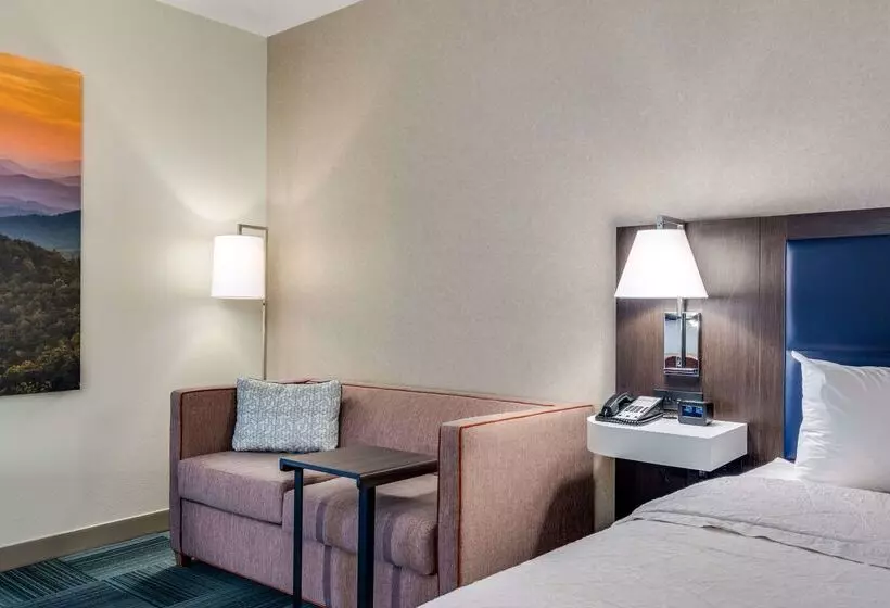 هتل Hampton Inn Johnson City