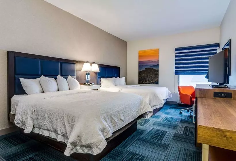 هتل Hampton Inn Johnson City