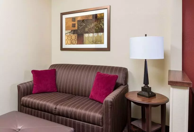 ホテル Hampton Inn Lubbock