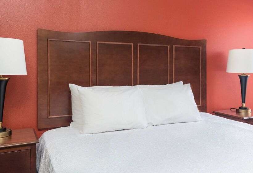 هتل Hampton Inn Lubbock