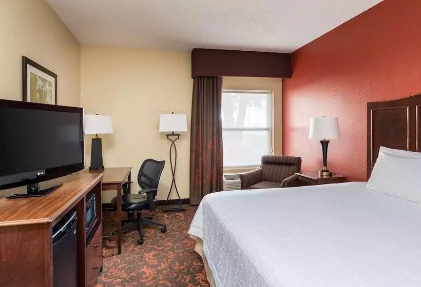 ホテル Hampton Inn Lubbock