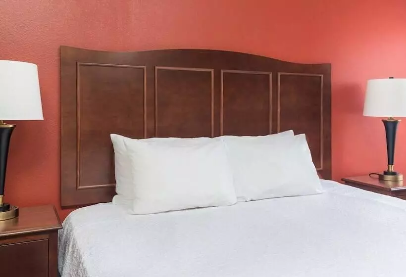 ホテル Hampton Inn Lubbock