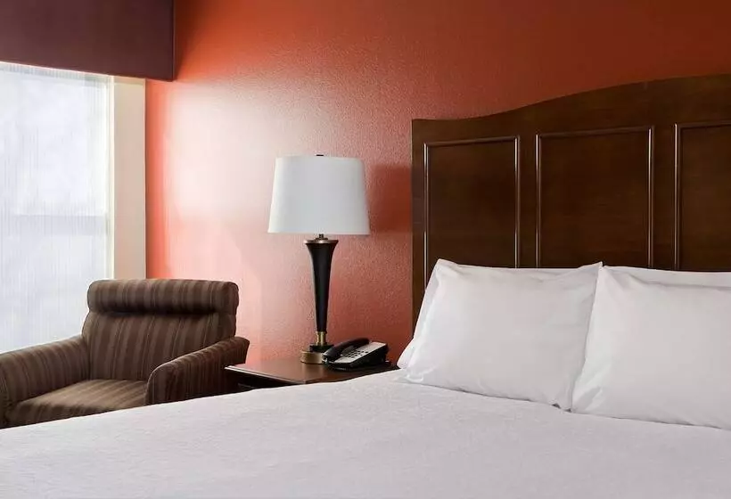 ホテル Hampton Inn Lubbock