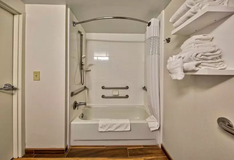 בית מלון כפרי Hampton Inn Memphis/southaven