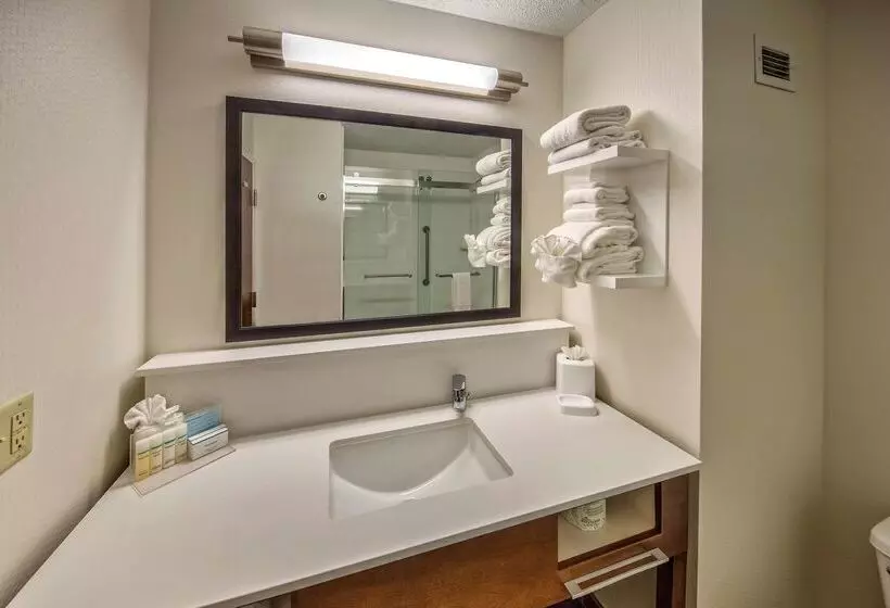 בית מלון כפרי Hampton Inn Memphis/southaven