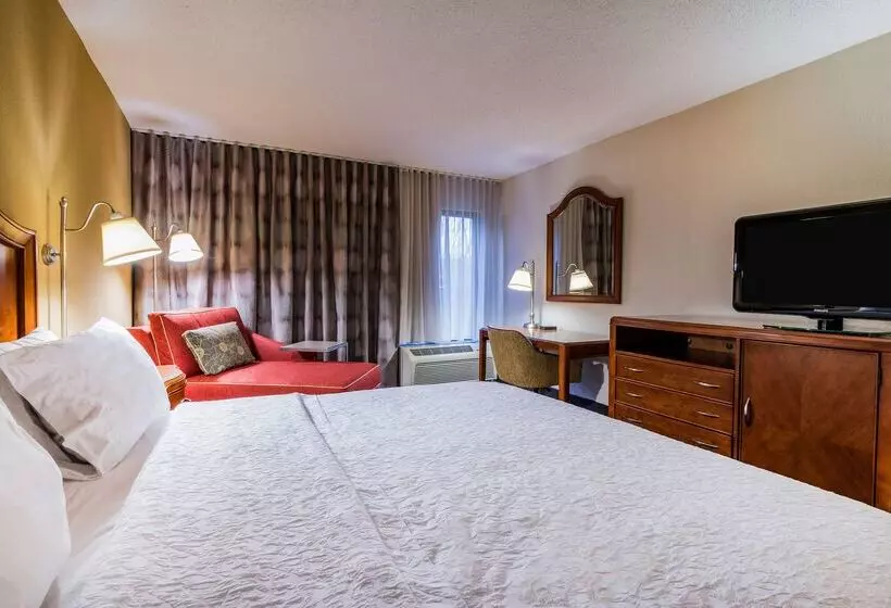 هتل Hampton Inn Roanoke/hollins I81