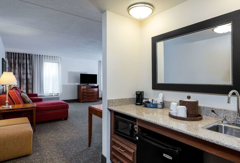 Otel Hampton Inn Roanoke/hollins  I81