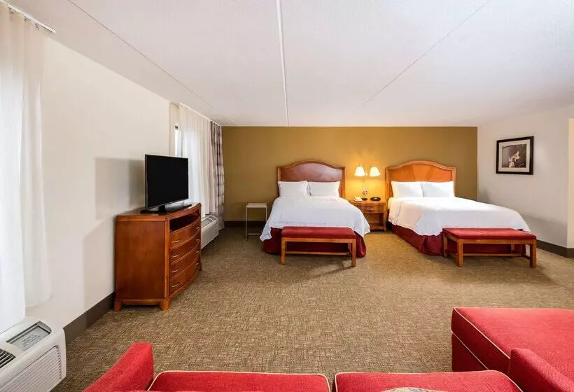 هتل Hampton Inn Roanoke/hollins I81