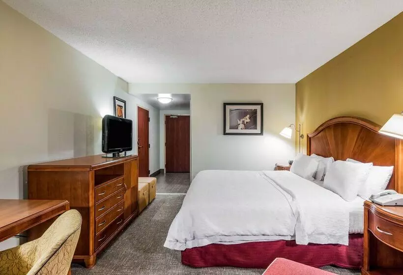 هتل Hampton Inn Roanoke/hollins I81