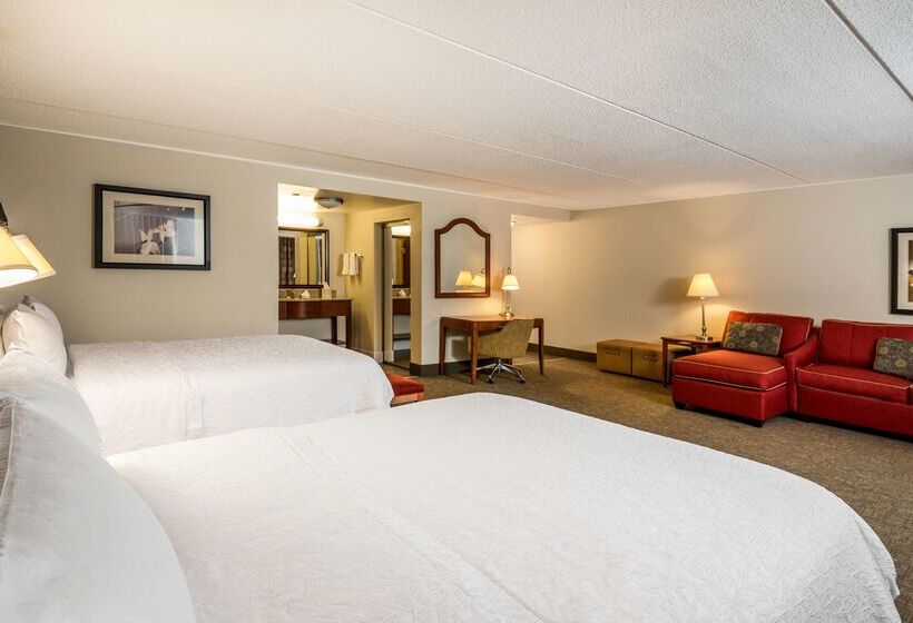 Otel Hampton Inn Roanoke/hollins  I81
